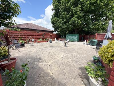 Picture 19